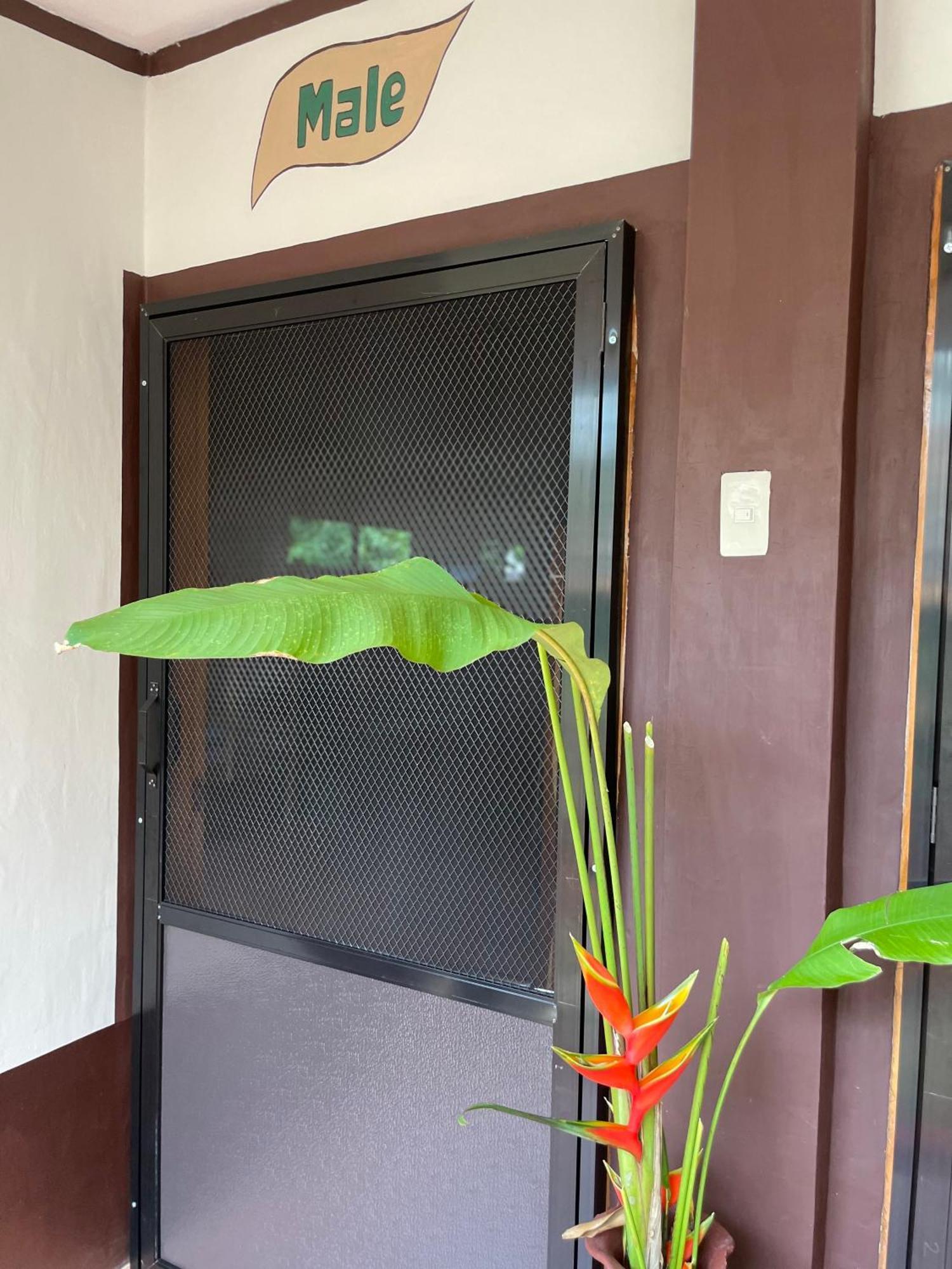 Chelle'S Guesthouse And Backpackers سيكويجور المظهر الخارجي الصورة