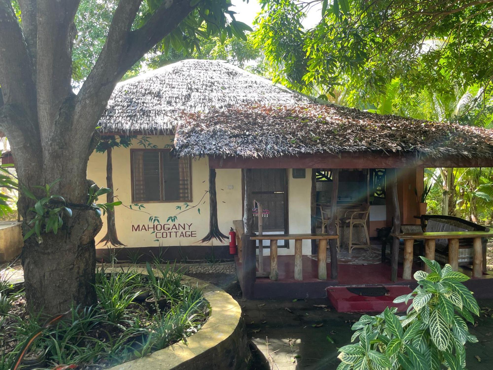 Chelle'S Guesthouse And Backpackers سيكويجور المظهر الخارجي الصورة